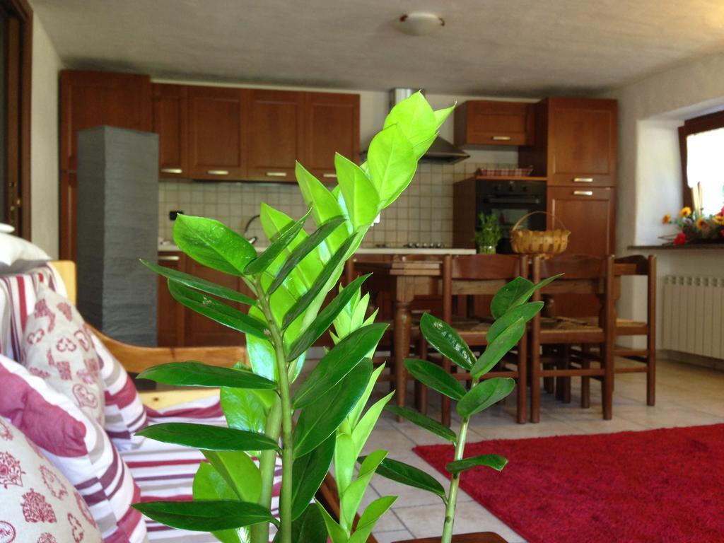 Maison Des Challant Challand Saint Victor Εξωτερικό φωτογραφία